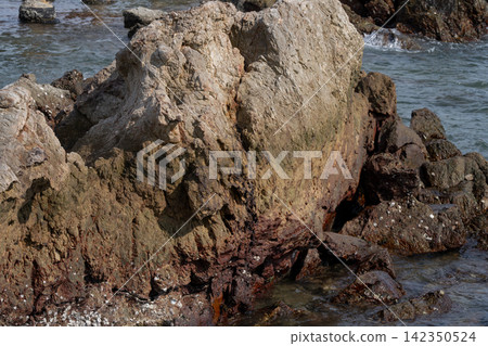 Rugged coastal rock formation beside the sea. Weathered mineral textures, cracks and erosion patterns shaped naturally by the tropical marine environment. Rough geological texture, mineral coloration. Rugged coastal rock formation beside the sea. Weathered mineral textures, cracks and erosion patterns shaped naturally by the tropical marine environment. Rough geological texture, mineral coloration. 142350524