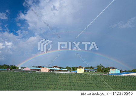 Full rainbow arching across blue and cloudy sky above green rooftops in Thailand after rainfall. Colorful natural weather phenomenon during bright tropical daylight. Peaceful tropical cityscape. 142350540