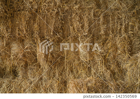 Dry straw bale stacks for livestock fodder and bedding. Agricultural byproducts stored in shelter for sustainable cattle farming. Dry agricultural residue as animal feed and livestock bedding. 142350569
