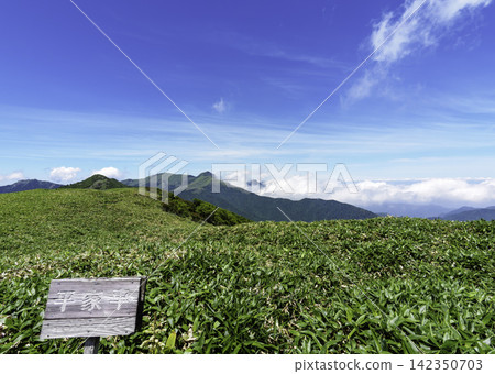 一幅健行之旅的場景，展現了鬱鬱蔥蔥的竹林山脊俯瞰四國群山，天空湛藍清澈。 142350703