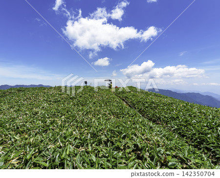 一幅健行之旅的場景,展現了鬱鬱蔥蔥的竹林山脊俯瞰四國群山,天空湛藍清澈。 一幅健行之旅的場景,展現了鬱鬱蔥蔥的竹林山脊俯瞰四國群山,天空湛藍清澈。 142350704