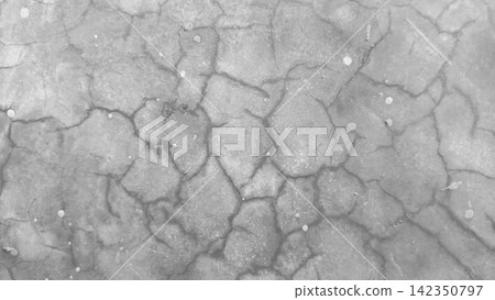 A pattern of fine cracks that coalesce on the surface of light gray polished concrete. A pattern of fine cracks that coalesce on the surface of light gray polished concrete. 142350797