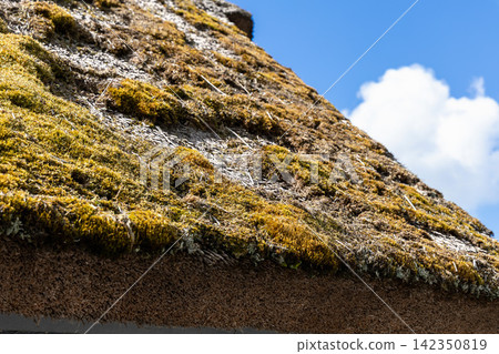 Old Scandinavian thatched roof in need of renovation under blue sky. Old Scandinavian thatched roof in need of renovation under blue sky. 142350819
