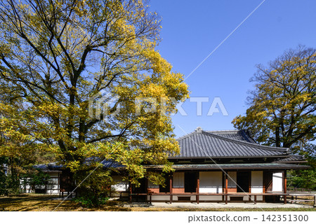 京都御所,觀音宮遺址,深秋 京都御所,觀音宮遺址,深秋 142351300