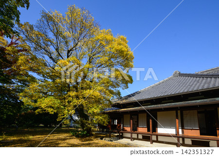 京都御所,觀音宮遺址,深秋 京都御所,觀音宮遺址,深秋 142351327