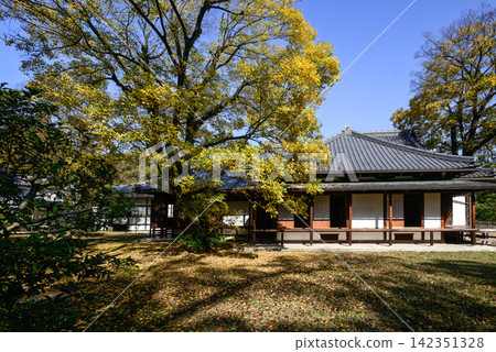 京都御所,觀音宮遺址,深秋 京都御所,觀音宮遺址,深秋 142351328