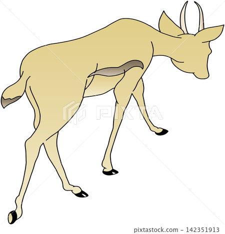 手繪動物插畫 ☆ 羚羊 142351913