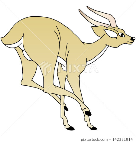 Hand-drawn animal illustration ☆ Antelope 142351914