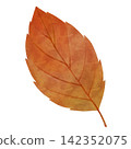 Watercolor-style illustration of fallen leaves 142352075