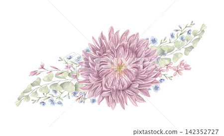 Pink chrysanthemum, eucalyptus branches and wildflowers watercolor composition on isolated background. Floral arrangement for elegant wedding stationery, spring greeting card, and delicate home decor. Pink chrysanthemum, eucalyptus branches and wildflowers watercolor composition on isolated background. Floral arrangement for elegant wedding stationery, spring greeting card, and delicate home decor. 142352727