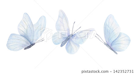 Three pastel blue butterflies with translucent wings watercolor illustration on isolated background. Ethereal insect design for wedding invitations, greeting cards, romantic scrapbooking elements. Three pastel blue butterflies with translucent wings watercolor illustration on isolated background. Ethereal insect design for wedding invitations, greeting cards, romantic scrapbooking elements. 142352731