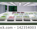 Indoor microgreens farm trays illuminated by LED lights in a clean setup 142354003
