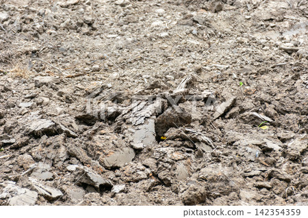 Dry cracked soil rough clumps hardened earth showing drought conditions arid land texture water shortage environmental dryness Dry cracked soil rough clumps hardened earth showing drought conditions arid land texture water shortage environmental dryness 142354359