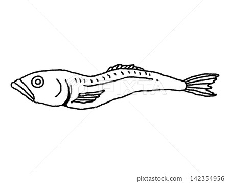 乾沙丁魚(線描圖) 乾沙丁魚(線描圖) 142354956