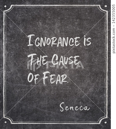 cause of fear Seneca quote cause of fear Seneca quote 142355005