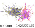 Ink painting background .n 142355185