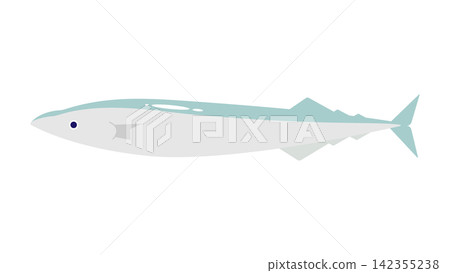 A simple illustration of a saury (in light colors). 142355238