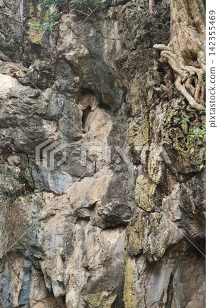 Low angle view of a dark cave exit Low angle view of a dark cave exit 142355469