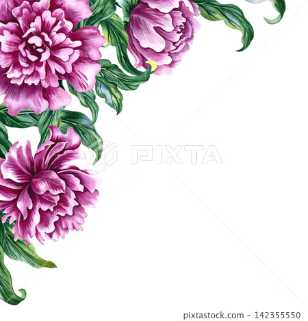 A corner frame featuring the image of pink peony flowers. A hand drawn watercolor illustration. Ideal for greeting cards, invitations, and weddings, labels and packaging, textiles, and much more. 142355550