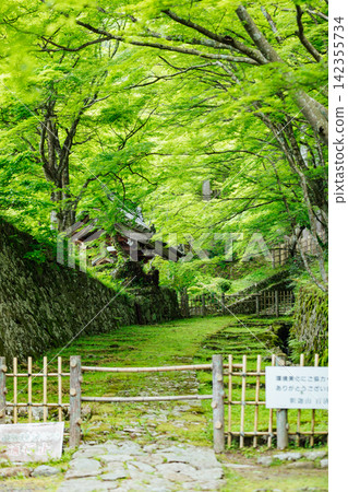 [滋賀縣東近江市] 百齋寺：苔蘚覆蓋的大門和新鮮的綠植，景色令人驚嘆。 142355734