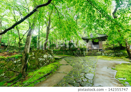 【滋賀縣東近江市】金剛林寺:通往寺廟和西谷殿的蔥綠蔭。 【滋賀縣東近江市】金剛林寺:通往寺廟和西谷殿的蔥綠蔭。 142355747