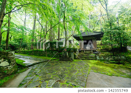 【滋賀縣東近江市】金剛林寺:通往寺廟和西谷殿的蔥綠蔭。 【滋賀縣東近江市】金剛林寺:通往寺廟和西谷殿的蔥綠蔭。 142355749