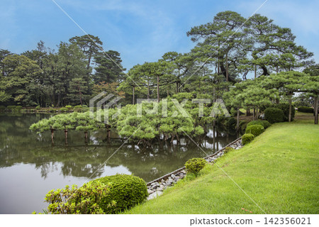 與池塘的風景 與池塘的風景 142356021