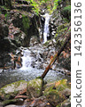 The smooth waterfall and forest of Raizawa, a tributary of the Fuefuki River, and the beautiful white-skinned char. 142356136