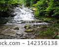 The smooth waterfall and forest of Raizawa, a tributary of the Fuefuki River, and the beautiful white-skinned char. 142356138