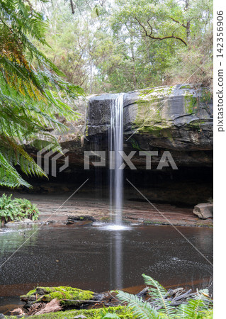 Kalimna Falls along Cumberland River trek, Great Ocean Road, Australia Kalimna Falls along Cumberland River trek, Great Ocean Road, Australia 142356906