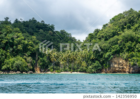 Paradise beach with palm trees, Togian Islands, Sulawesi, Indonesia Paradise beach with palm trees, Togian Islands, Sulawesi, Indonesia 142356950