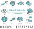 Illustration of a set of foods rich in vitamin A. 142357118