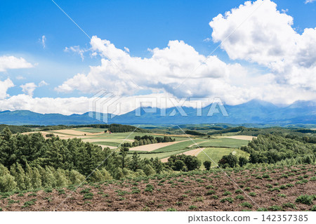 Panoramic view of vibrant rainbow flower fields and rolling hills in Shikisai no Oka with orange marigolds in foreground, Biei, Hokkaido, Japan Panoramic view of vibrant rainbow flower fields and rolling hills in Shikisai no Oka with orange marigolds in foreground, Biei, Hokkaido, Japan 142357385