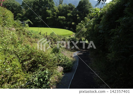 花輪站前的街景 花輪站前的街景 142357401