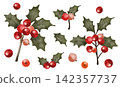 Holly material set 142357737