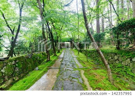 【滋賀縣東近江市】金剛林寺:綠樹成蔭的寺院入口和紅色的大門 【滋賀縣東近江市】金剛林寺:綠樹成蔭的寺院入口和紅色的大門 142357991