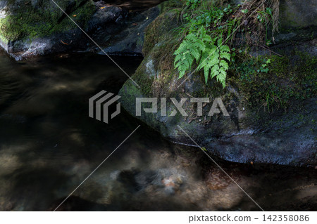 A waterfall leading to the Kikuchi Gorge with a clear stream flowing through nature A waterfall leading to the Kikuchi Gorge with a clear stream flowing through nature 142358086