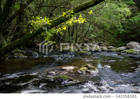 A waterfall leading to the Kikuchi Gorge with a clear stream flowing through nature A waterfall leading to the Kikuchi Gorge with a clear stream flowing through nature 142358105