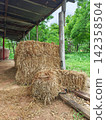 Bales of dry straw stacked under a rustic corrugated metal shed roof in a lush rural farm setting. 142358504