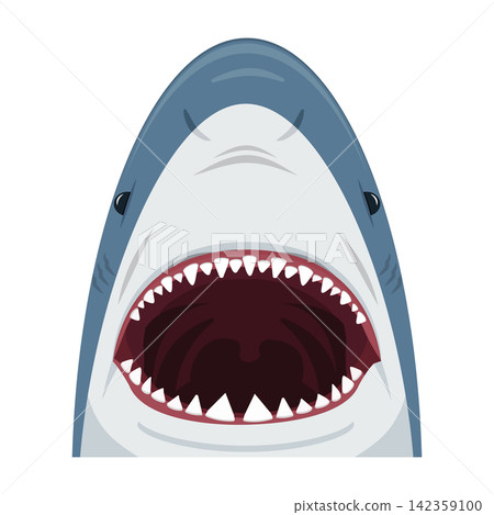 Great white shark with open mouth Great white shark with open mouth 142359100