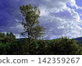 Primeval forest at the foot of Mt. Tokachi 142359267
