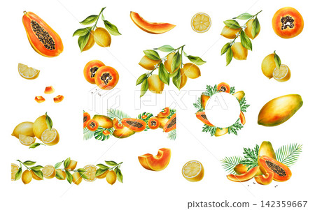 Watercolor tropical fruit set with papaya, and lemons on branches. Hand drawn logo, frame, template with exotic summer clipart bundle with whole and cut fruits, seeds, leaves and wreath isolated on wh Watercolor tropical fruit set with papaya, and lemons on branches. Hand drawn logo, frame, template with exotic summer clipart bundle with whole and cut fruits, seeds, leaves and wreath isolated on wh 142359667