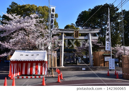 日本愛知縣犬山市:櫻花盛開,哈里綱神社鳥居-犬山祭早晨的景象。 日本愛知縣犬山市:櫻花盛開,哈里綱神社鳥居-犬山祭早晨的景象。 142360065