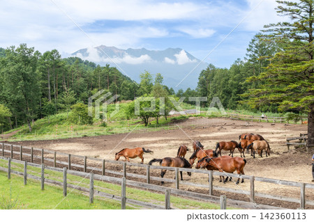 木曾馬場和禦嶽山(長野縣甲斐田高原) 木曾馬場和禦嶽山(長野縣甲斐田高原) 142360113