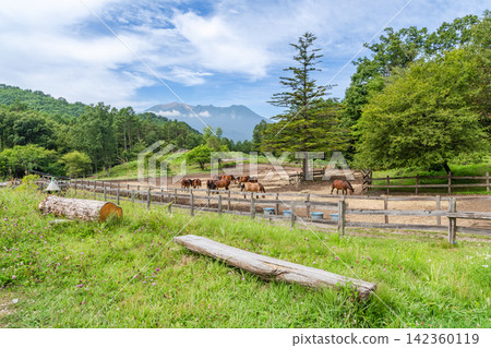 木曾馬場和禦嶽山(長野縣甲斐田高原) 木曾馬場和禦嶽山(長野縣甲斐田高原) 142360119