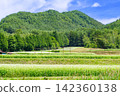 Buckwheat fields in Kaida Plateau (Kaida Plateau, Kiso District, Nagano Prefecture) 142360138