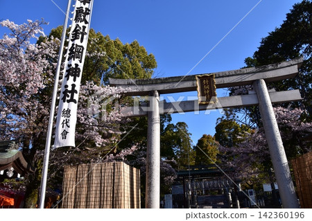 日本愛知縣犬山市:櫻花盛開,哈里綱神社鳥居-犬山祭早晨的景象。 日本愛知縣犬山市:櫻花盛開,哈里綱神社鳥居-犬山祭早晨的景象。 142360196