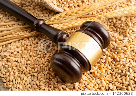 Judge gavel hammer with wheat ear grain from agriculture farm. Judge gavel hammer with wheat ear grain from agriculture farm. 142360628