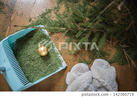Cleaning fallen Christmas tree needles from wooden floor 142360719