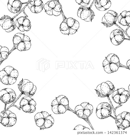 Vector cotton flower frame template with copy space, graphic hand drawn isolated fluffy illustration. Botanical hand drawn illustration isolated on background. Minimalist hand drawn graphic line art b Vector cotton flower frame template with copy space, graphic hand drawn isolated fluffy illustration. Botanical hand drawn illustration isolated on background. Minimalist hand drawn graphic line art b 142361374